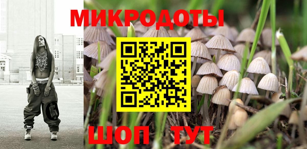 Галлюциногенные грибы MAGIC MUSHROOMS  закладка  Вход с VPN  Зеленокумск  Галлюциногенные грибы Cubensis 